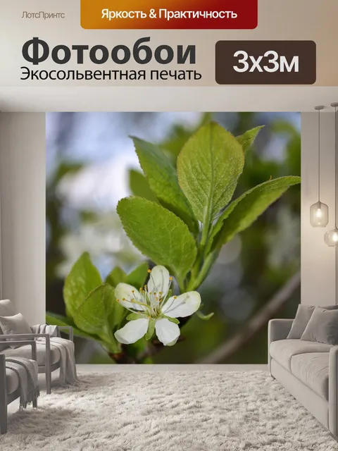 Фотообои Весна