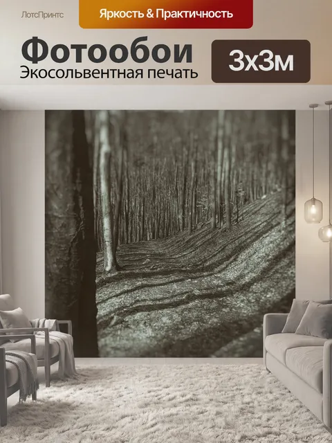 Фотообои Лес