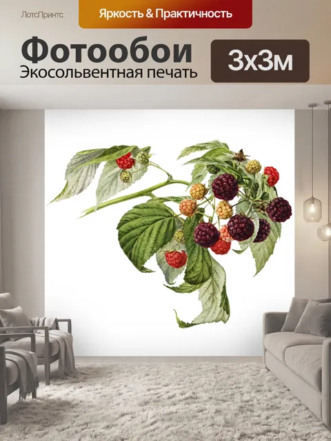 Фотообои Винтажная ежевика с малиной