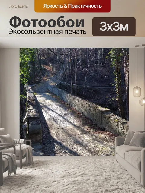 Фотообои Лес