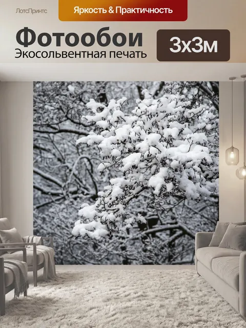 Фотообои Снежный Три отделения
