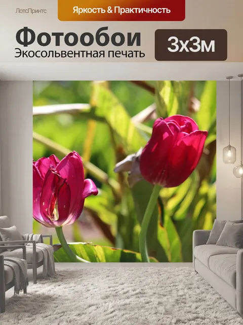 Фотообои Природа