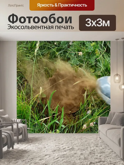 Фотообои Бовист