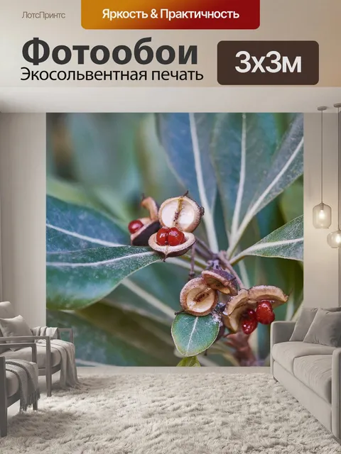 Фотообои Листы
