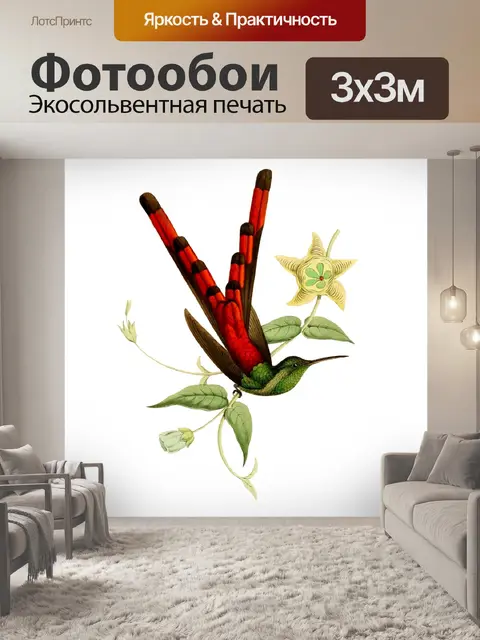 Фотообои Колибри Винтажное Искусство