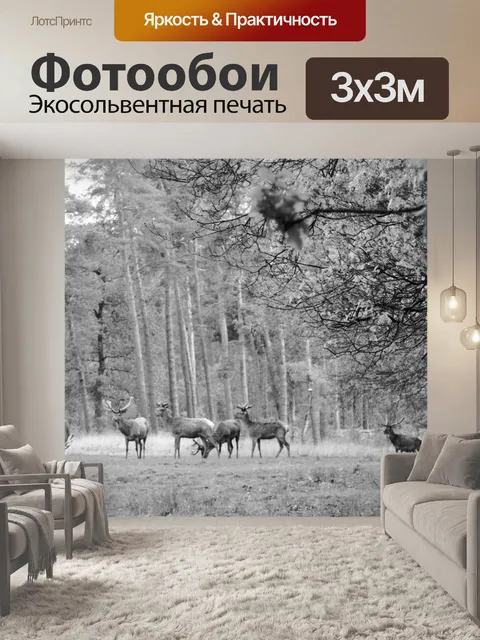 Фотообои Лес