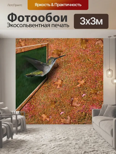 Фотообои Колибри