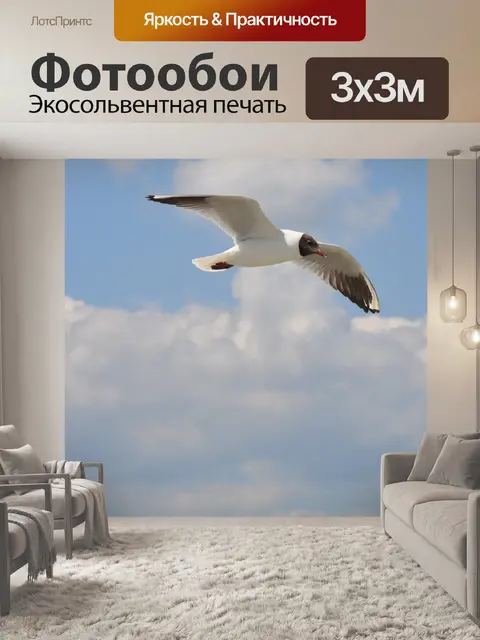 Фотообои Птицы