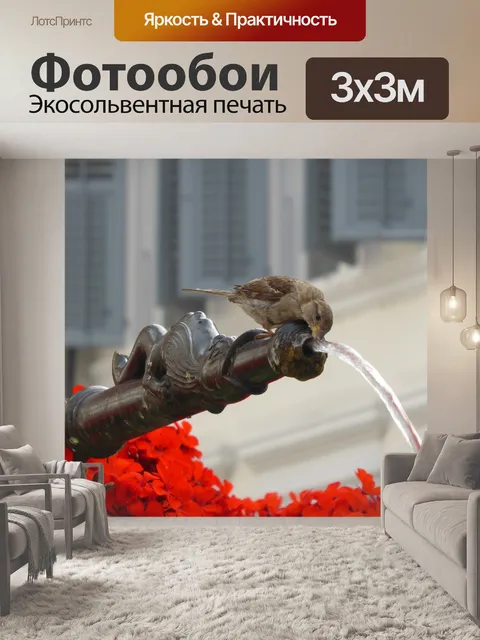 Фотообои Воробей