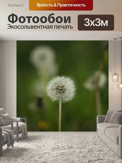 Фотообои Одуванчик
