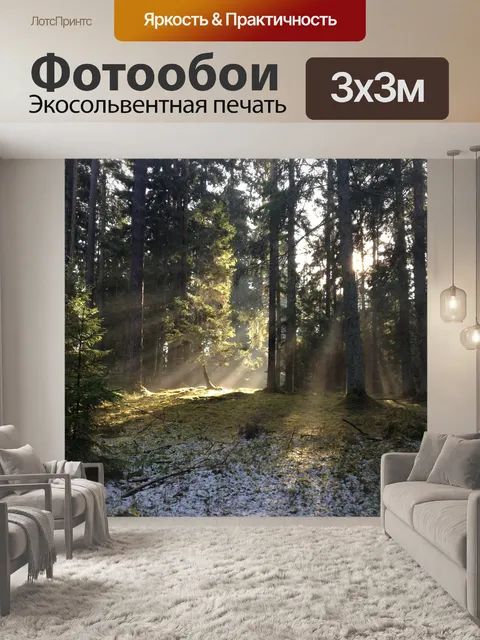 Фотообои Лес