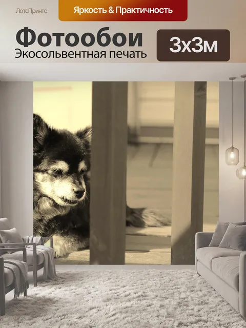 Фотообои Щенок