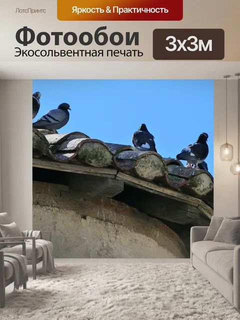 Фотообои Птицы