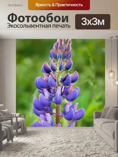 Фотообои Цветы