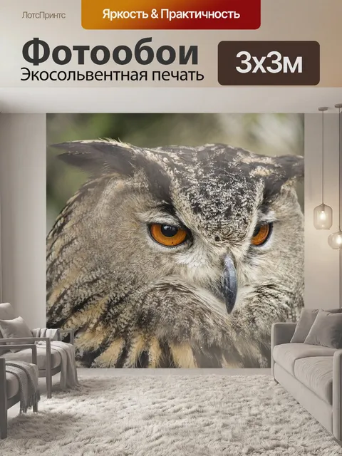 Фотообои Филин