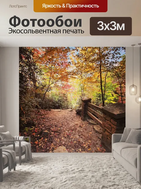 Фотообои Дорожка