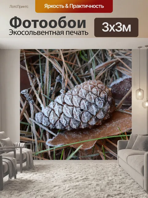 Фотообои Шишка