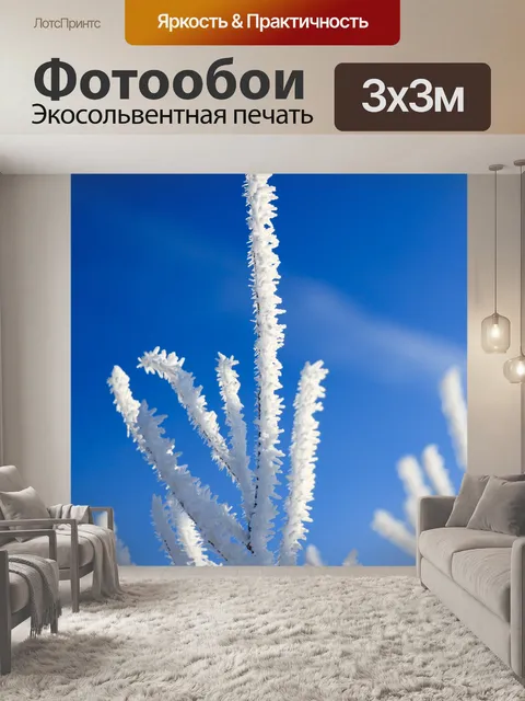 Фотообои иней на ветках