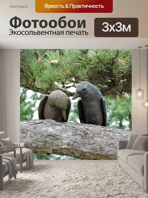 Фотообои Птицы