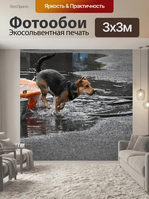 Фотообои Мокрый