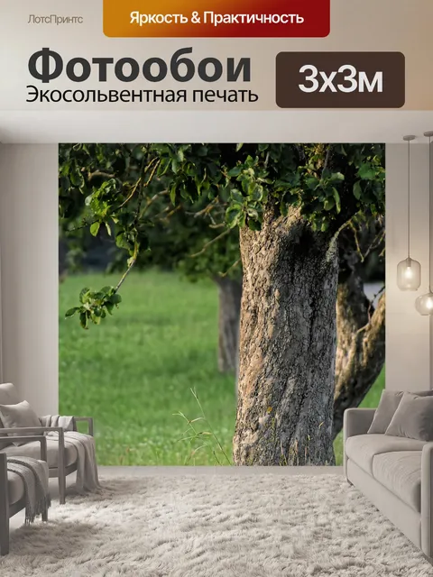 Фотообои Деревья