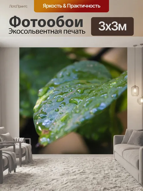 Фотообои Листья