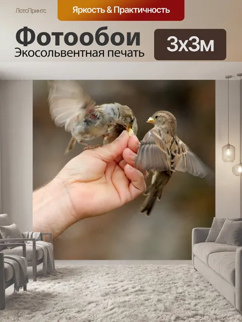 Фотообои Птицы