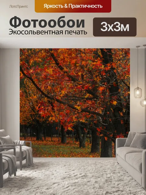 Фотообои Осень