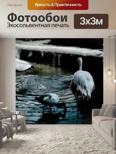 Фотообои Животное