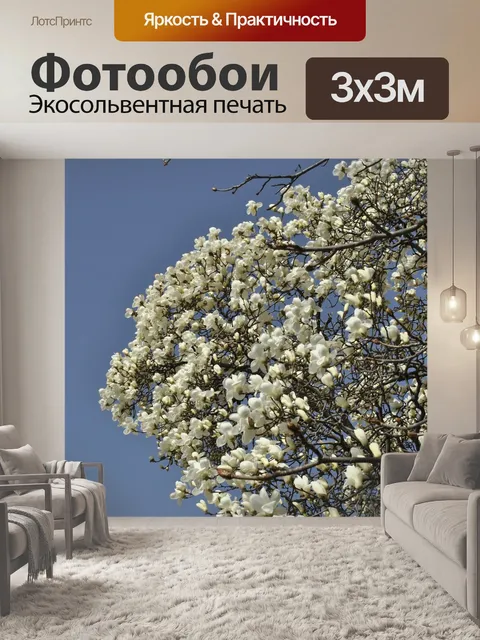 Фотообои Магнолия