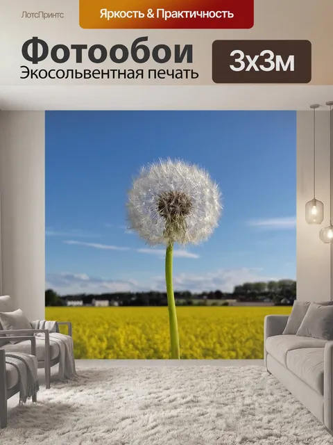 Фотообои Одуванчик