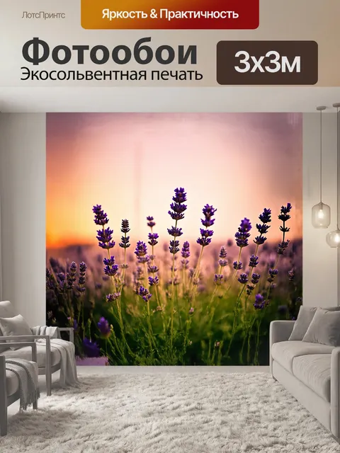 Фотообои цветы лаванда, фиолетовый, расцветает в поле на закате, снято в теплых тонах с использованием техники…