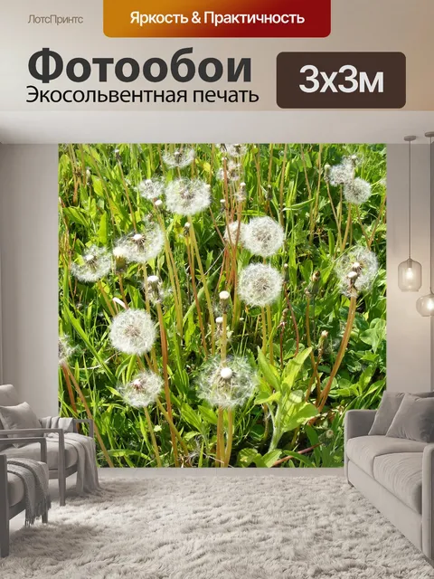 Фотообои Дуть