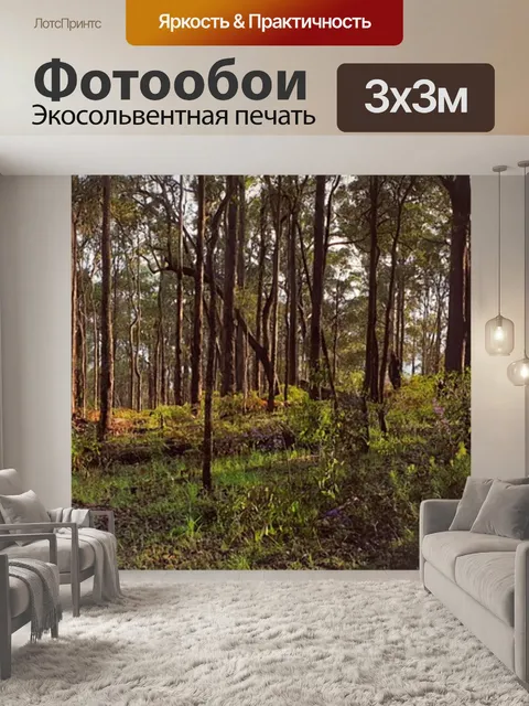 Фотообои Деревья