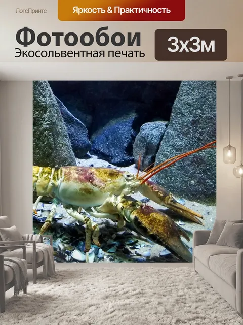 Фотообои омар под водой