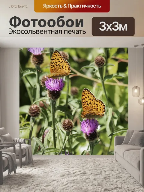 Фотообои Бабочки
