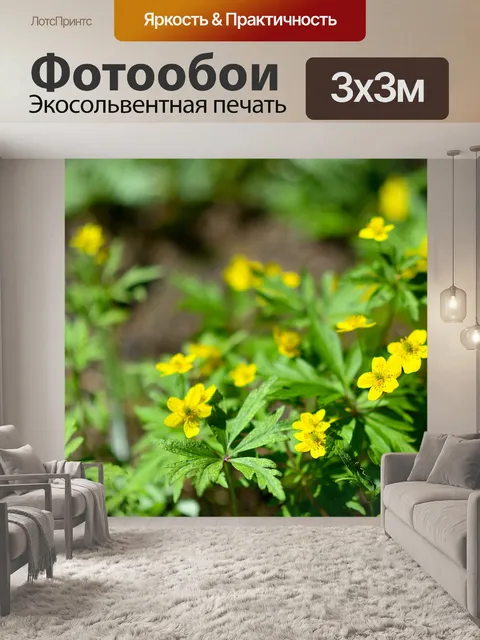 Фотообои Цветы