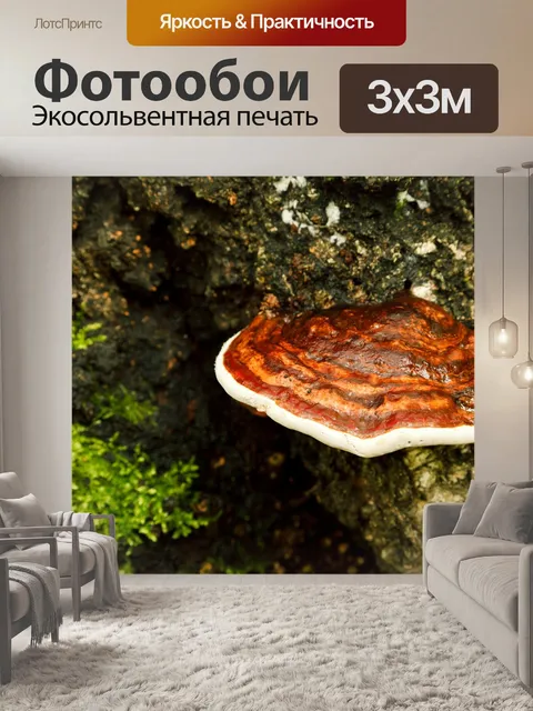 Фотообои Браун