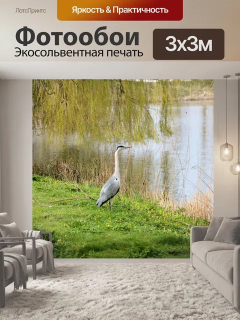 Фотообои Heron 4