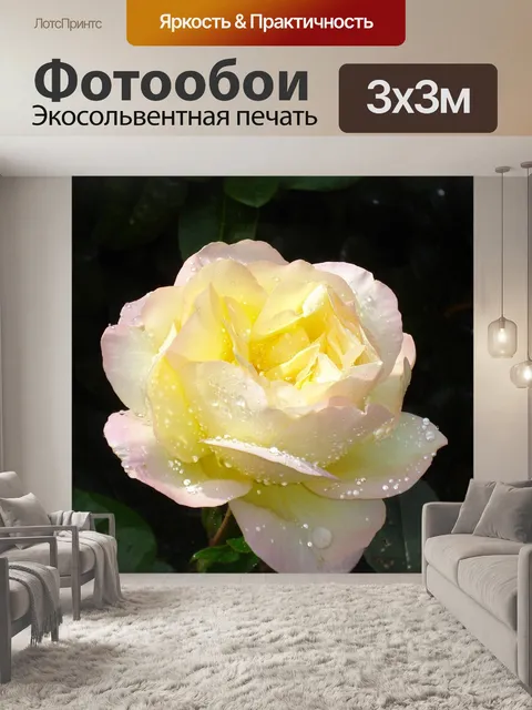 Фотообои Цветок
