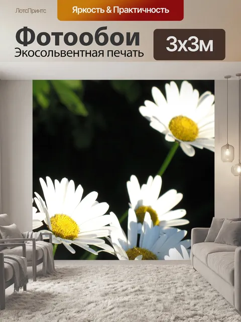 Фотообои Цветок