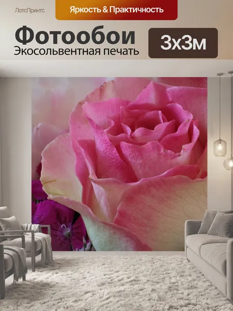 Фотообои Роза