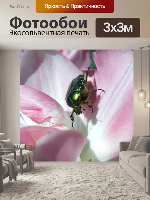 Фотообои Блестящий золотой розовый жук