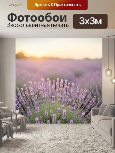Фотообои Цветущая лаванда на закате