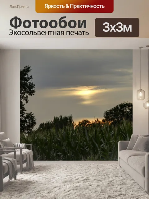Фотообои Фон