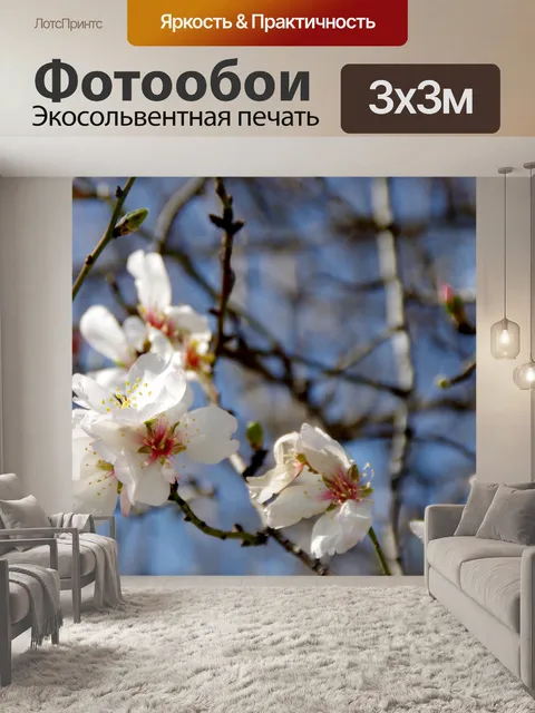 Фотообои Группа цветков миндаля на дереве