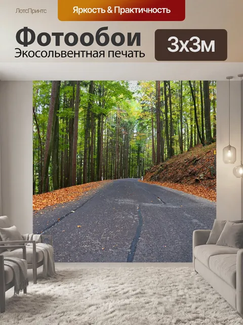 Фотообои Асфальт