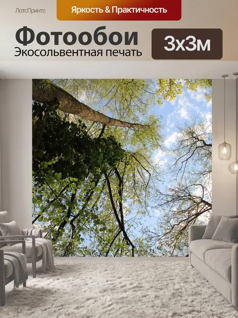 Фотообои Лес