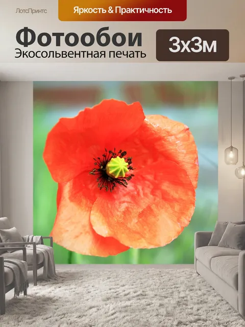 Фотообои Мак