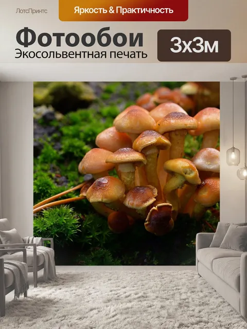 Фотообои Лес